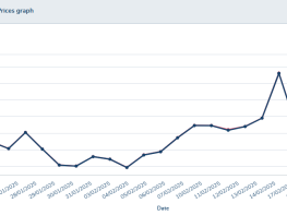 NPL6+3%